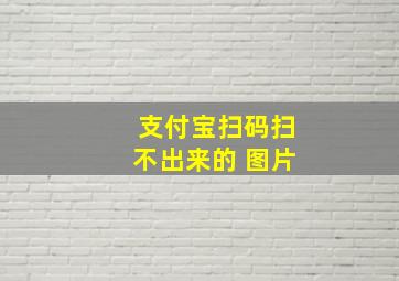 支付宝扫码扫不出来的 图片